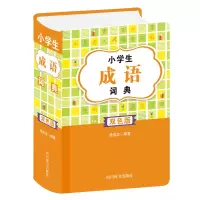 音像小学生成语词典(双色版)中国