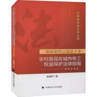 音像农村居民在城市务工权益保护法律指南(案例应用版)段建辉