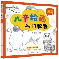 音像儿童绘画入门教程——速写鹭鸟文化 编著