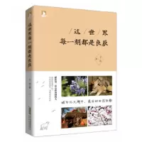 音像这世界每一刻都是良辰王二狗