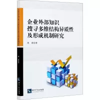 音像企业外部知识搜寻多维结构异质及形成机制研究胡谍
