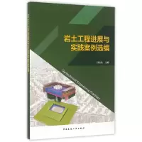 音像岩土工程进展与实践案例选编孙宏伟 主编