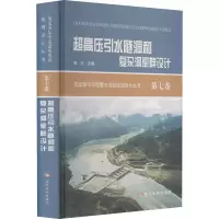 音像超高压引水隧洞和复杂洞室群设计作者