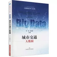 音像城市交通大数据作者