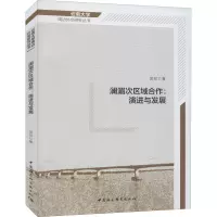 音像澜湄次区域合作:演进与发展金珍