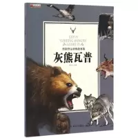 音像灰熊瓦普/西顿野生动物故事集姚忻仪