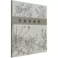 音像写生百荷图李东红