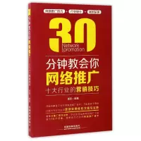 音像30分钟教会你网络推广(十大行业的营销技巧)谭贤