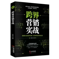 音像跨界营销实战吴学刚
