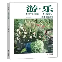 音像张跃进绘画集张跃进