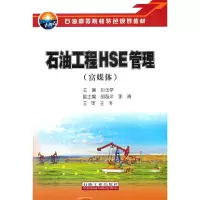 音像石油工程HSE管理(富媒体)孙玉学 著