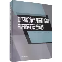 音像地下盐穴储气库造腔控制与注采运行安全评估王汉鹏 等