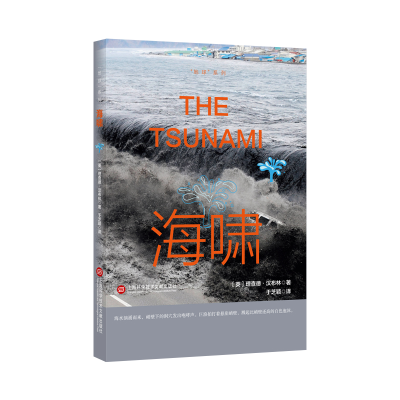 音像地球系列-海啸[英]理查德·汉布林