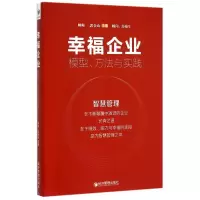 音像幸福企业(模型方法与实践)帅师