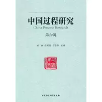 音像《中国过程研究》第六辑杨丽 温恒福 王治河 主编