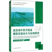 音像波流场中悬浮隧道模型实验技术与实例研究丁浩,李科,程亮