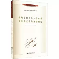 音像战略导向下多元化企业业务单元业绩评价研究宫义飞 等