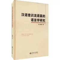 音像汉语意识流语篇的语言学研究杨增宏