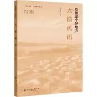 音像大漠风语王信国