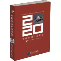 音像中知识权年鉴 2020著
