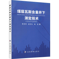 音像煤层瓦斯含量井下测定技术隆清明,张宪尚,张睿