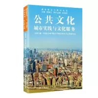 音像公共文化:城市实践与文化服务徐锦江