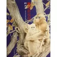 音像柳财顺工笔动物画赏析/当代工笔画唯美新视觉柳财顺