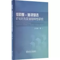 音像低阶煤-油泡浮选矿化行为及油泡特研究王市委