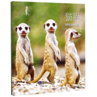 音像猫鼬(精)/动物小百科梅利莎·吉什