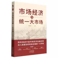 音像市场经济与统一大市场林永生