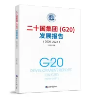 音像二十国集团(G20)发展报告(2020-2021)牛华勇