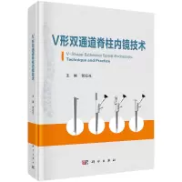 音像V形双通道脊柱内镜技术贺石生