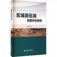 音像区域泥石流定量评价研究尹彦礼