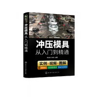 音像冲压模具从入门到精通金龙建,杨梅 编著