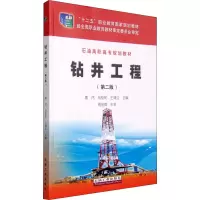 音像钻井工程(第2版)郭伟,刘桂和,王清江
