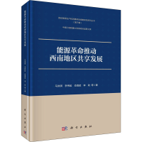 音像能源推动西南地区共享发展马洪琪 等