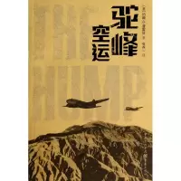 音像驼峰空运Plating