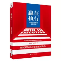 音像赢在执行(制造业精细化管理全案)黄治淮//王彦德