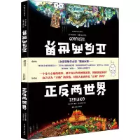 音像正反两世界(日)辉子
