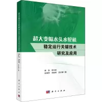 音像超大变幅水头水轮机稳定运行关键技术研究及应用李洪 等