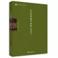 音像中国文化遗产田野案例报告/文化艺术遗产研究丛书彭兆荣
