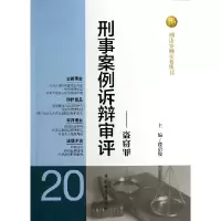 音像刑事案例诉辩审评--盗窃罪/刑法分则实务丛书段启俊