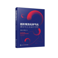 音像低阶煤流化床气化——理论与工业运行分析程相龙、郭晋菊 著