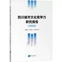 音像四川城市文化竞争力研究报告(2020)潘殊闲,潘君瑶,申昊煊