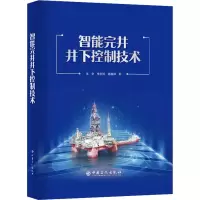音像智能完井井下控制技术李中,李梦博,盛磊祥