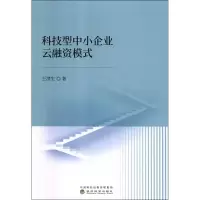 音像科技型中小企业云融资模式王洪生