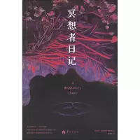 音像冥想者日记(美)汉密尔顿-梅里特