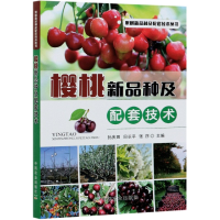 音像樱桃新品种及配套技术不详