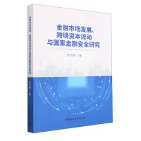 音像金融市场发展跨境资本流动与金融安全研究辛大楞