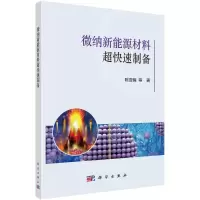 音像微纳新能源材料超快速制备陈亚楠